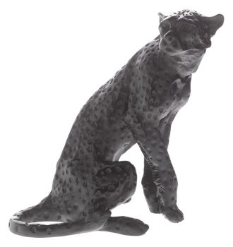 Black cheetah black - Daum